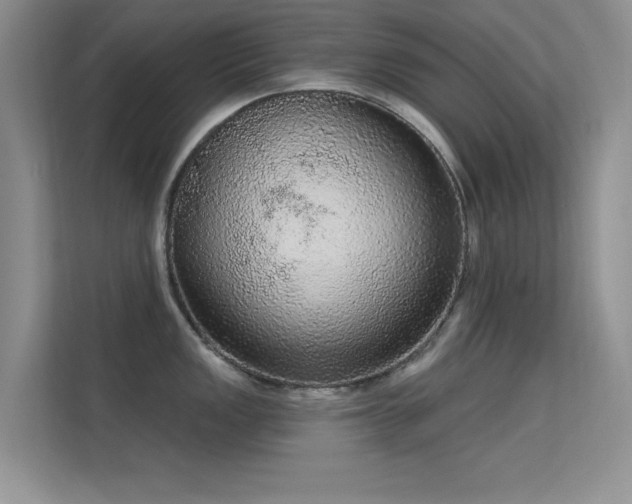 X0000113631149200909251215