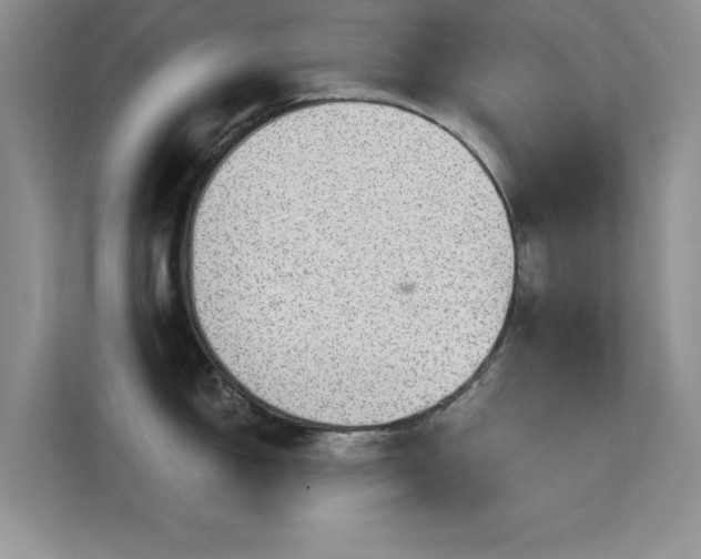 X0000113631150200909251215