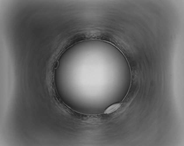 X0000113631153200909251215