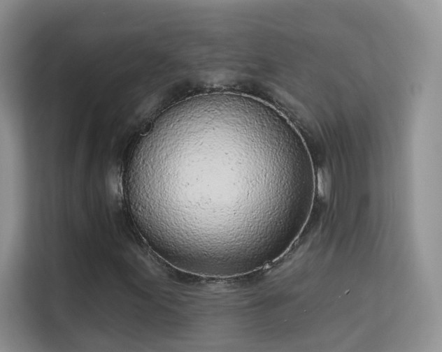 X0000113631155200909251215