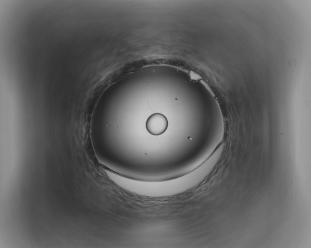 X0000113631157200909251215