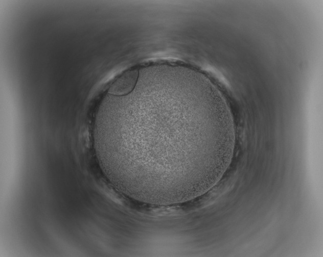 X0000113631159200909251214