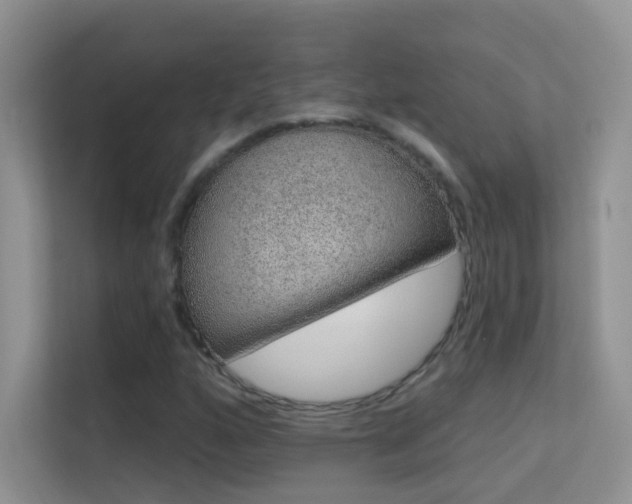 X0000113631160200909251214