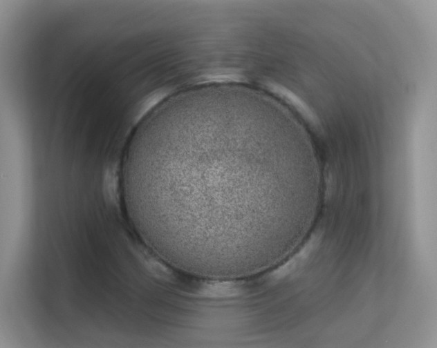 X0000113631162200909251214