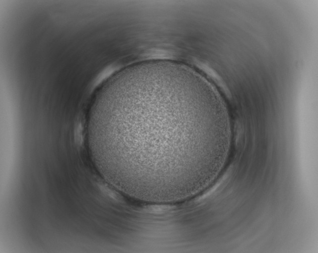 X0000113631163200909251214