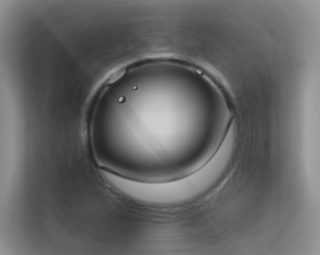 X0000113631167200909251214