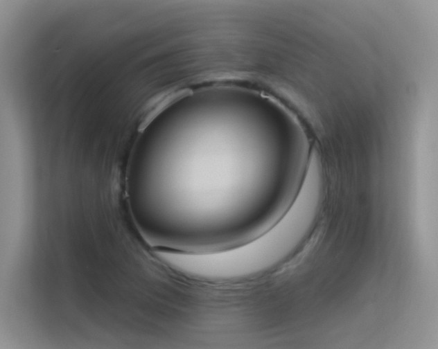 X0000113631169200909251214