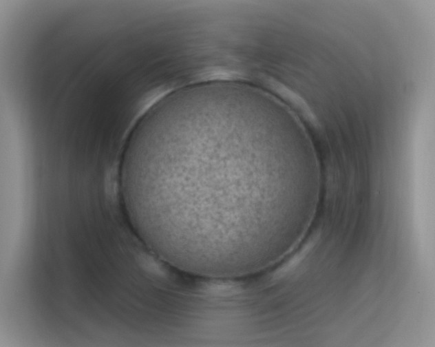 X0000113631170200909251214