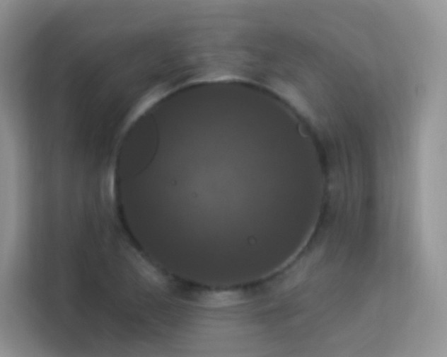 X0000113631173200909251214