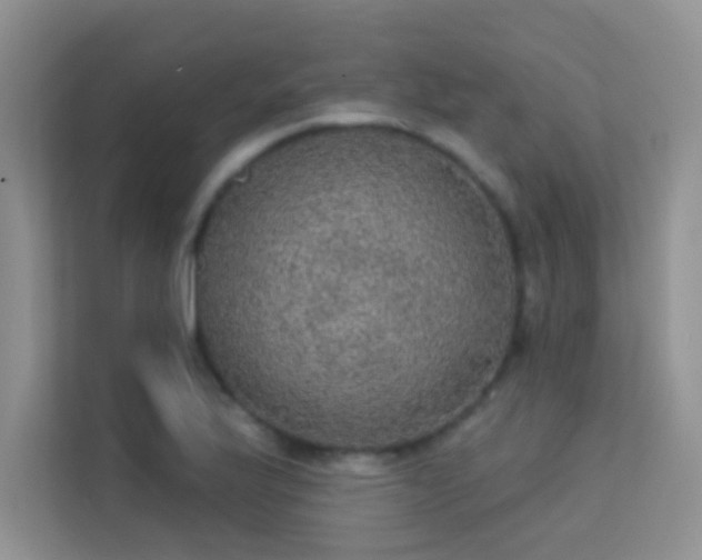 X0000113631175200909251214