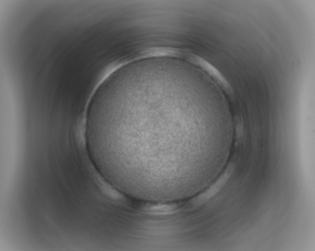 X0000113631178200909251214