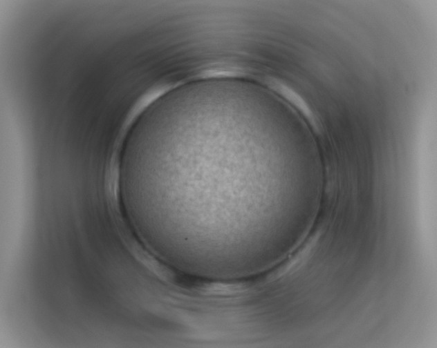 X0000113631179200909251214