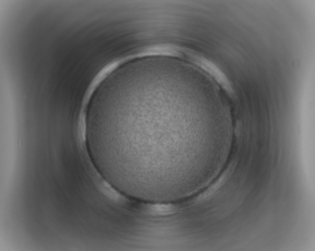 X0000113631180200909251214