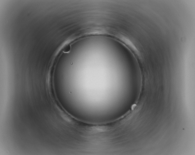 X0000113631181200909251214