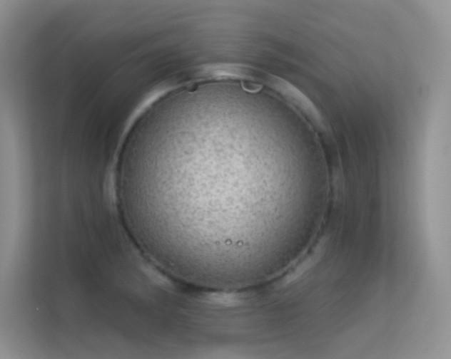 X0000113631182200909251214