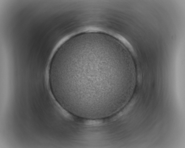 X0000113631183200909251214