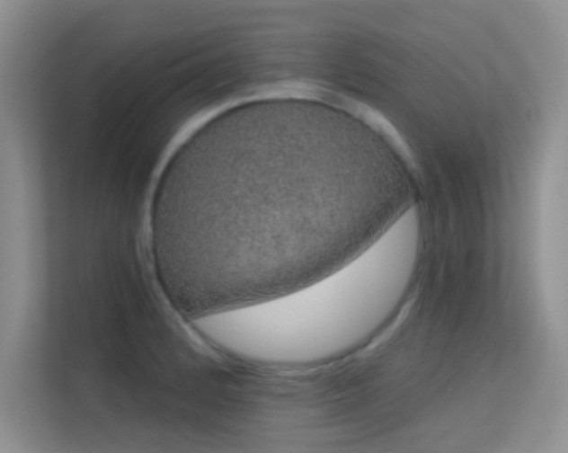 X0000113631184200909251214