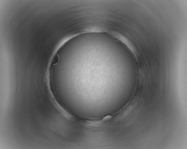 X0000113631187200909251214