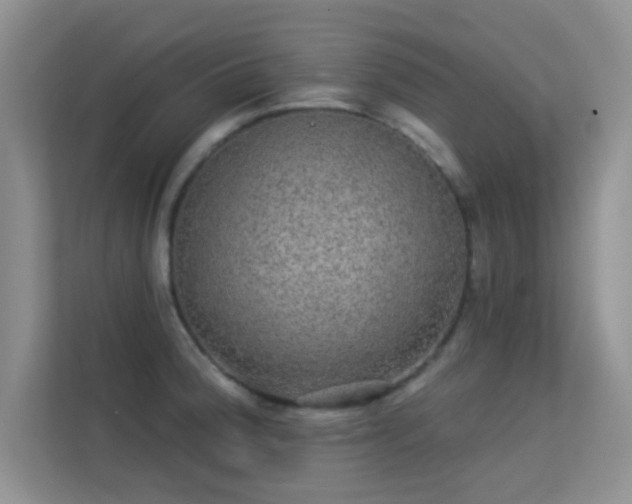 X0000113631188200909251214