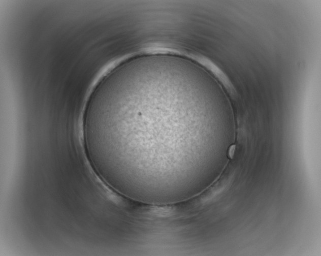 X0000113631191200909251214