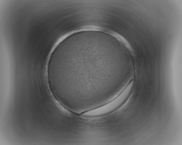 X0000113631192200909251214