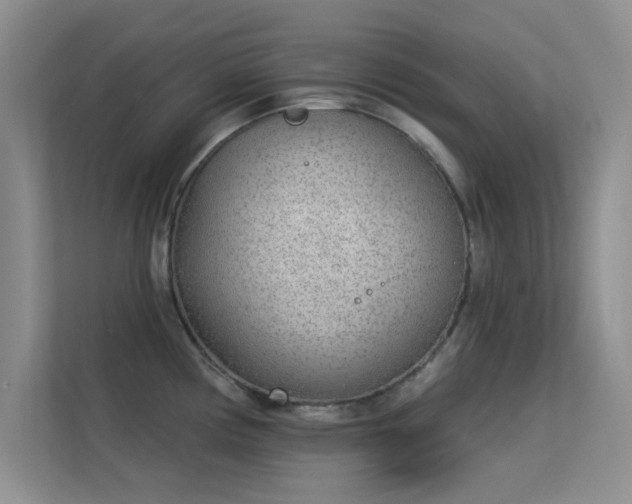 X0000113631194200909251214