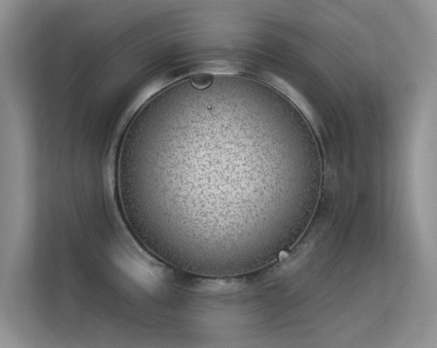 X0000113631195200909251214