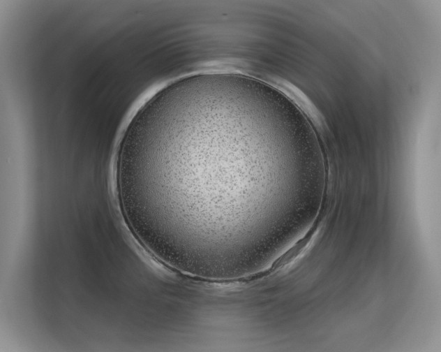 X0000113631196200909251214