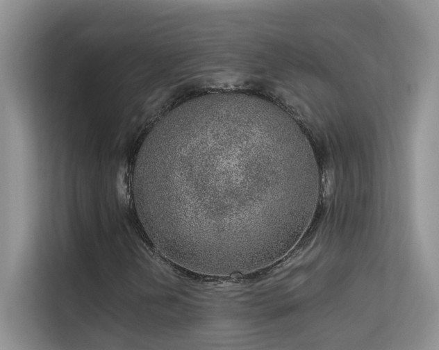 X0000113631202200909251213