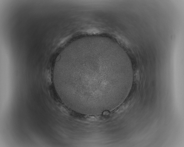 X0000113631205200909251213