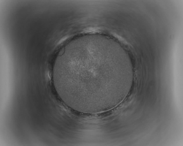 X0000113631206200909251213
