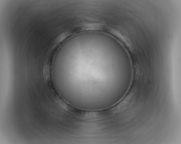 X0000113631211200909251213