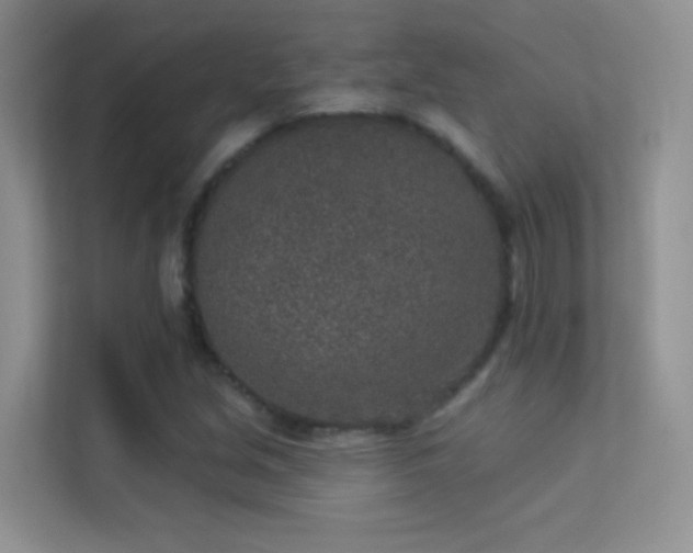X0000113631213200909251213