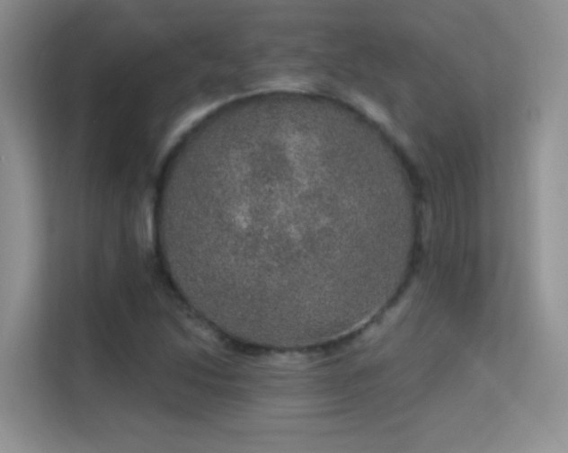 X0000113631214200909251214