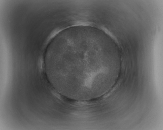 X0000113631215200909251214