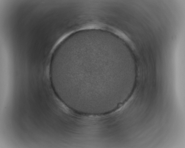 X0000113631216200909251214
