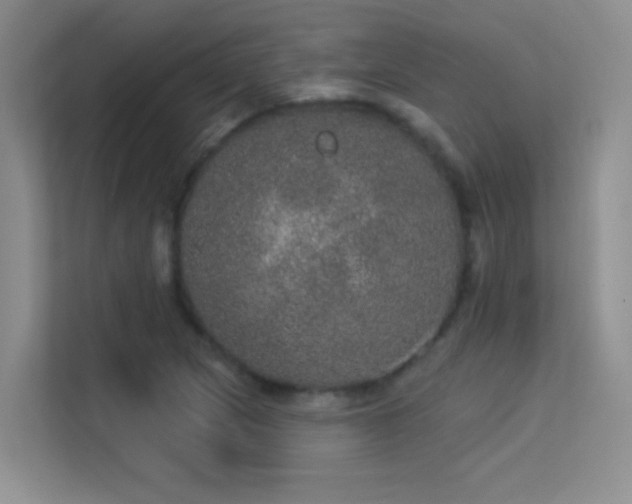 X0000113631217200909251214