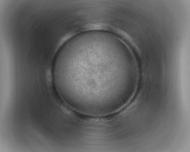X0000113631218200909251214