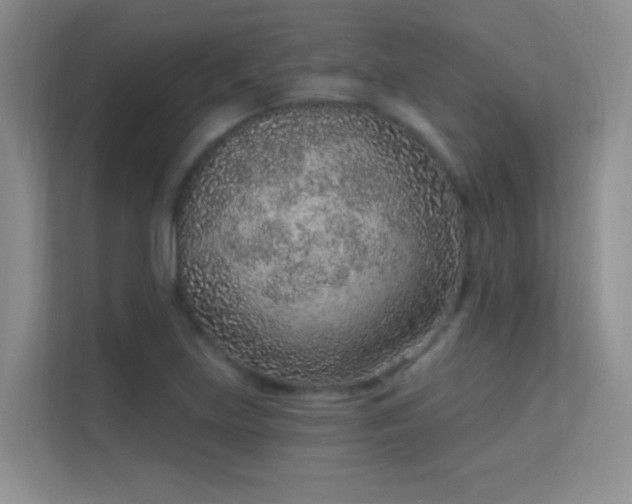 X0000113631219200909251214