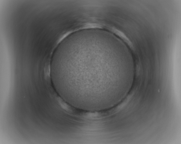 X0000113631220200909251214