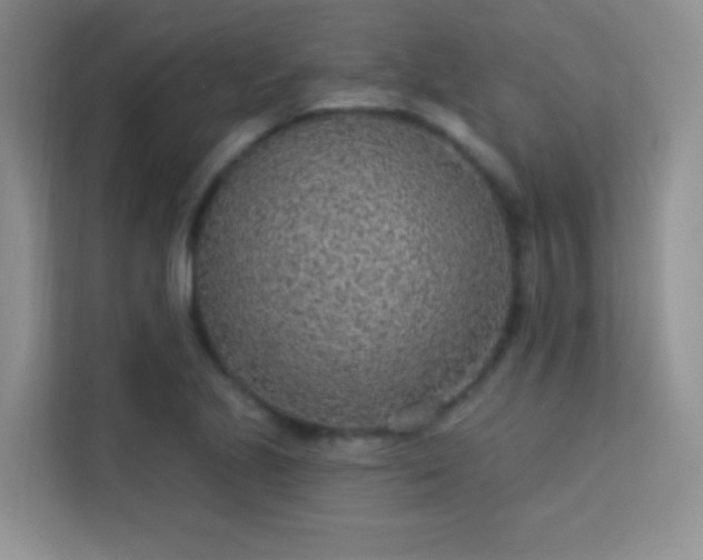 X0000113631221200909251214