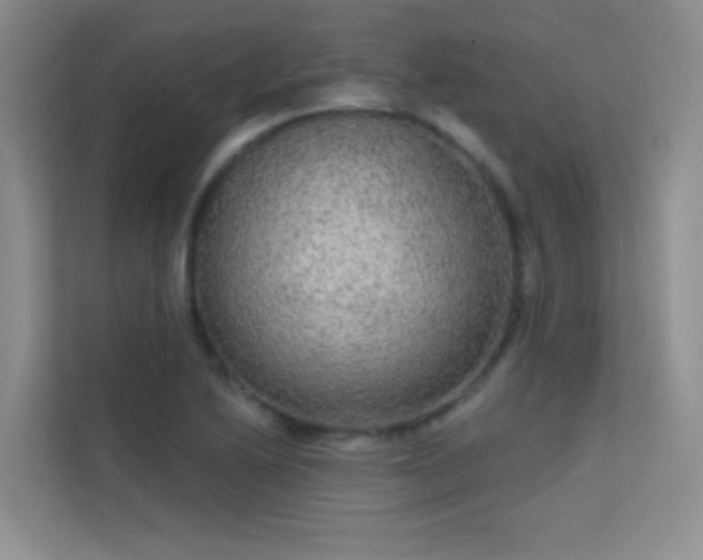 X0000113631222200909251214