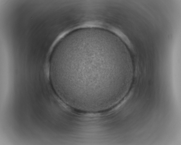 X0000113631224200909251214