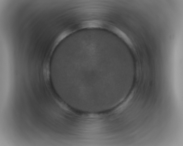 X0000113631226200909251214
