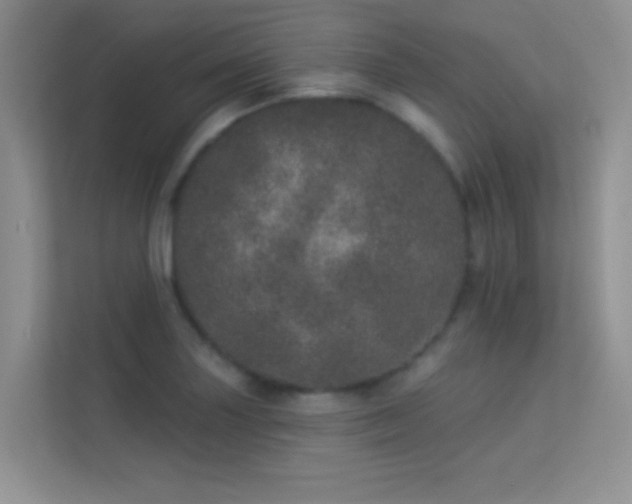 X0000113631227200909251214