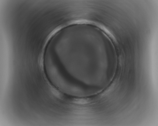 X0000113631229200909251214