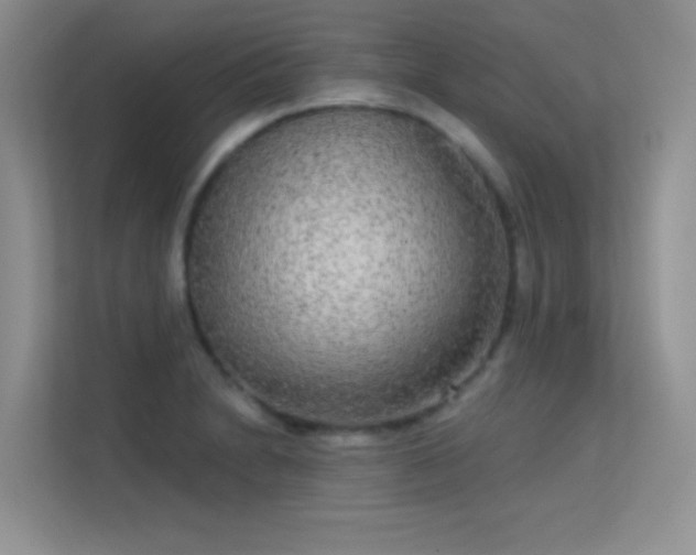 X0000113631230200909251214
