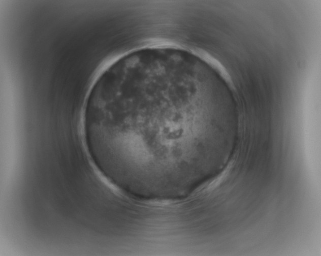 X0000113631231200909251214