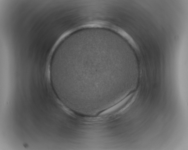 X0000113631232200909251214