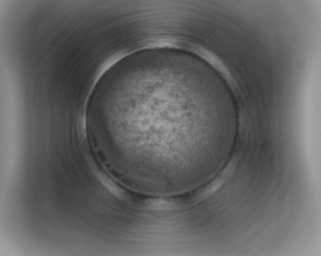 X0000113631234200909251214